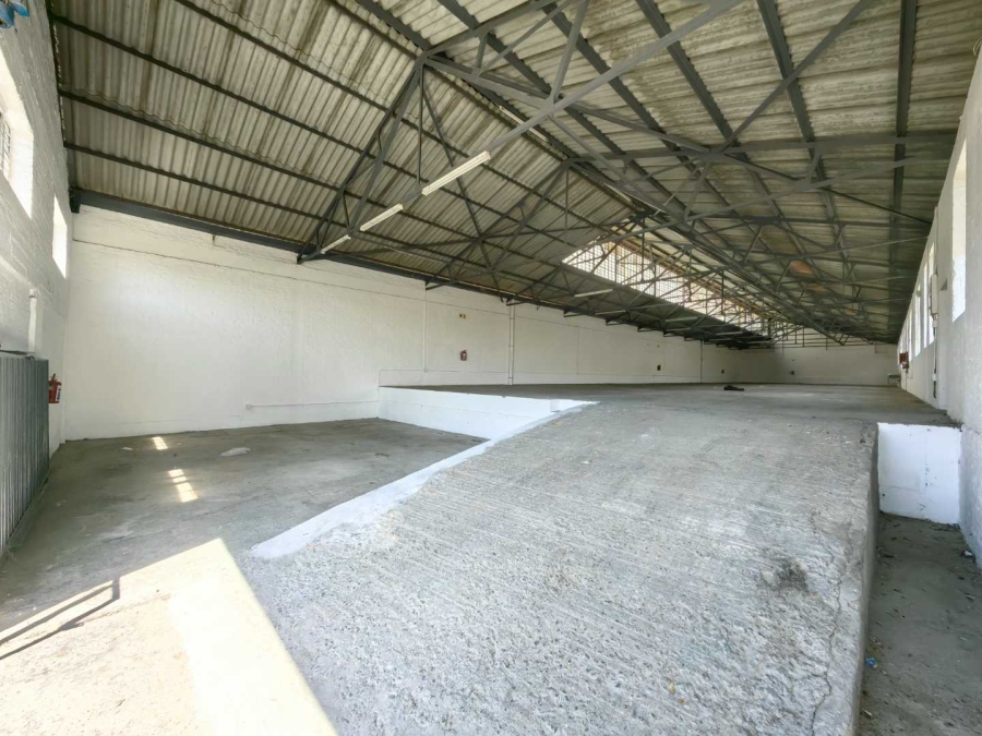 To Let commercial Property for Rent in Salt River Western Cape